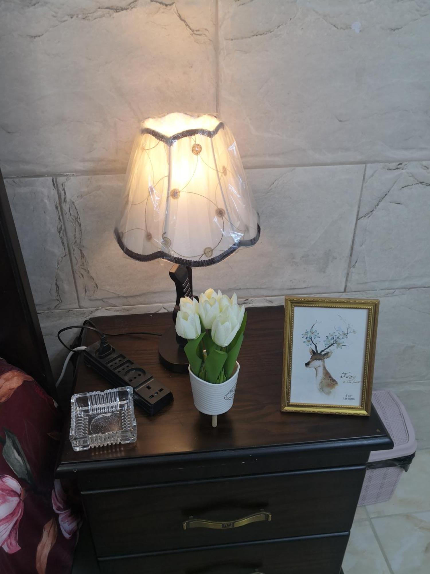 White Tulips Apartment الزنبقة البيضاء Jarash Eksteriør billede